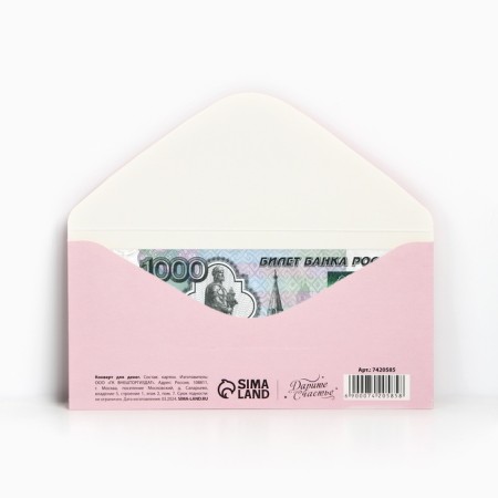 The envelope for the money "spend on yourself", cat, 16.5 × 8 cm-2