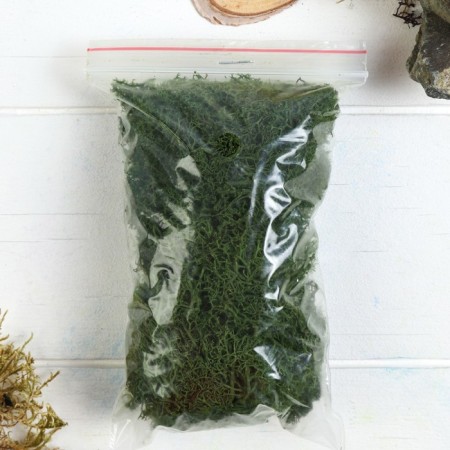 The moss stabilized "dark green" 45 gr (+-5 gr).-2