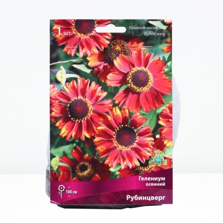 Glenium Autumn Rubinskover, rr l, 1 pc, spring 2025