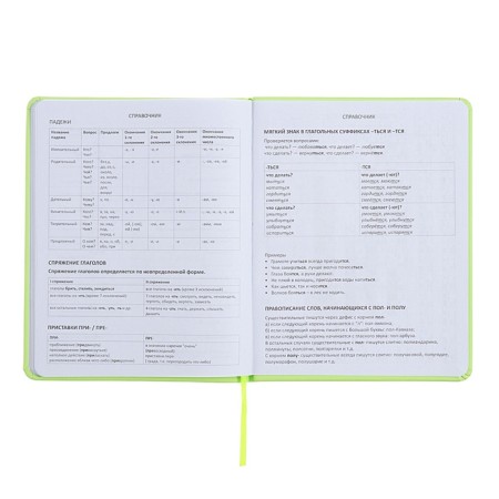 Universal diary for grade 1-11 Capybara, hard cover, artificial leather, silkography, lies, 80 g/m2-9