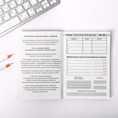 Smart notebook Cashbook A6, 68 sheets I NEED My Money-6