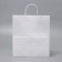 Package Crafts without print, white, twisted pen, 28 x 15 x 32 cm