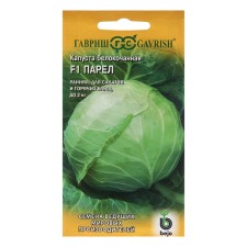 Cabbage seeds Belokoch. 