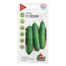 Seeds of the cucumber 