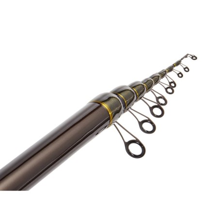 The float rod with the rings of Salmo Diamond Bolognes Light MF, test 3-15 g, length 6 m.-2