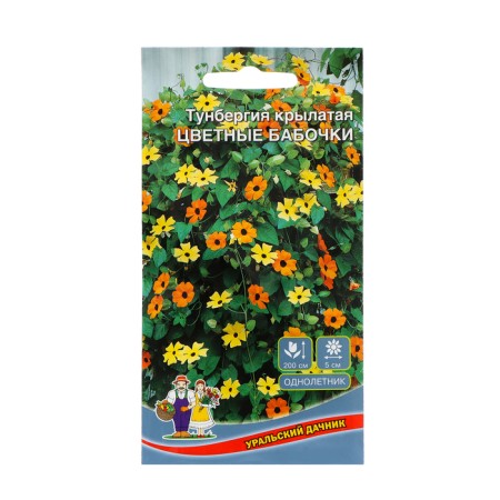 Flower seeds tunbergia winged "colored butterflies", 0, 15 g,