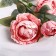 Flowers artificial "Elsa peony" D-10 cm 64 cm, pink