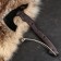 Forged ax "Mole" Article 45, handle - pierced veneer