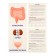 Training cards "Human Body"