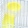 The cage for rodents "Pigzon", 23 x 17 x 33 cm, transparent, blue filling
