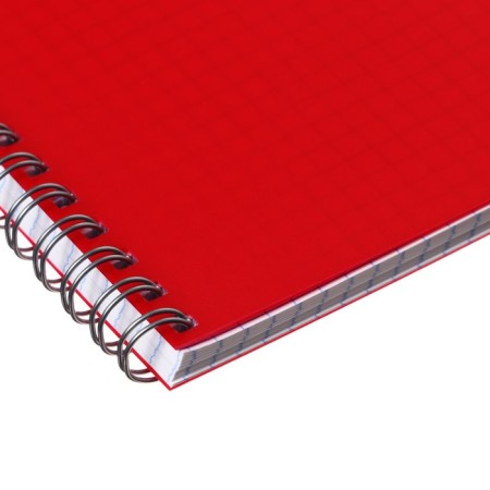 Notebook on the crest A4 60 sheets in the Calligrata cage red, plastic cover, OFSET block-2