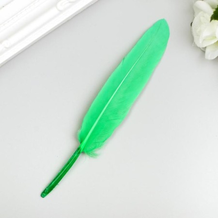 Decorative straight feathers, 10-15 cm (set 24 pcs) 6 colors, bright, assorted-1