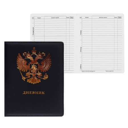 Universal diary for grades 1-11, solid cover, artificial leather, foil, lies, tinted block, 48 sheets