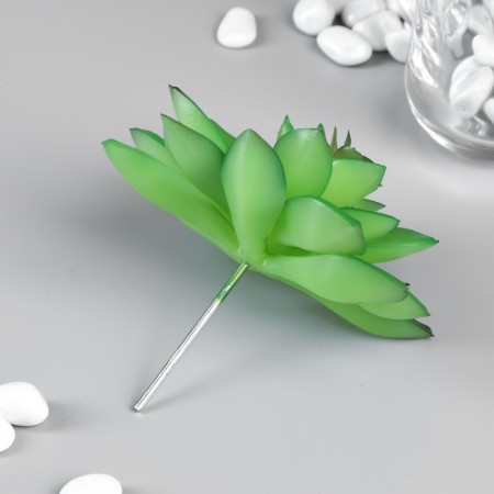 Artificial succulent for creating Florarium "Young Silver Song" 10.5x10x10 cm-1