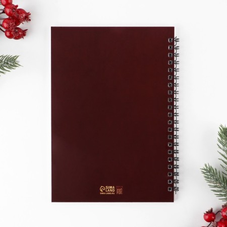 Diary in the gift box of the "Fairytale Year", A5, 60 sheets, on the crest-5