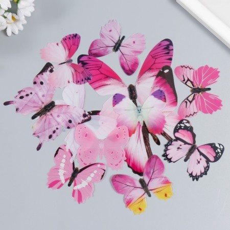 Plastic Plastic Plastic Assorted Set 12 pcs mix 12,10,8,6,4 cm