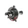 Avs Vegas, H4, 24 V, 75/70 watts lamp