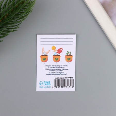 Postcard with the seeds "grow itself" "Happy New Year" snake 5*7cm-2