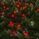 Garland “thread” 4.5 m with nozzles “balls”, IP44, dark thread, 30 LED, red glow, 2 modes, solar battery