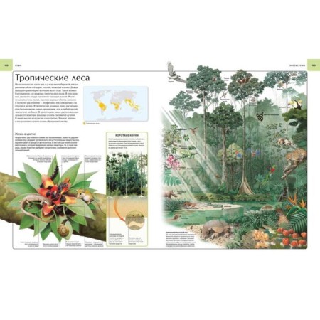 Illustrated Atlas. Earth-7