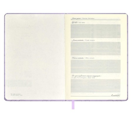 Leduced A5 Diary, 164 Escalada sheets, fingered binding with foam, artificial leather "Laika", glassy line, cream offset 70 g/m², lilac-10