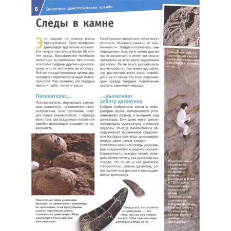 Dinosaurs. Monsters from the past. Baur M.-5