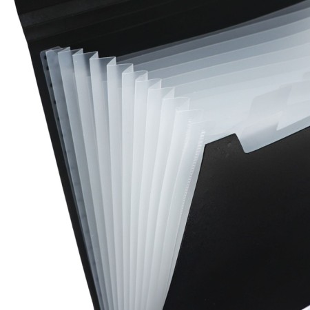 Folder Carder Calligrata 13 Department. A4 plastic 0.7mm black. Mix TsV rubber bands-4