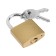The castle of the hinged type 14, 36x60 mm, 3 keys