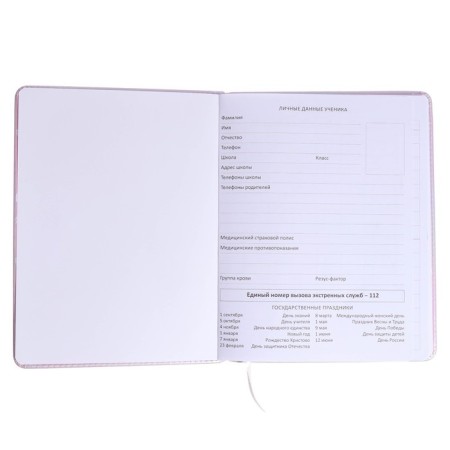 Universal Diary 1-11 class Hello Cutie. DOG, firm covering with foam rubber, artificial leather, liesse, block 80 g/m2-3