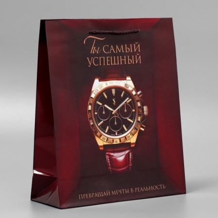 Gift laminated package, packaging, “success”, ml, 25 x 21 x 8 cm-3
