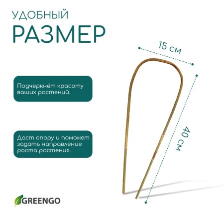 Arc for garter plants, bamboo 40 x 10 x 1 cm "Greengo"-3