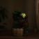 Fountain "Elephant under a tree, a jug and a barrel" 10x14x19 cm (with backlight)