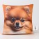 Antistress pillow "Spitz"