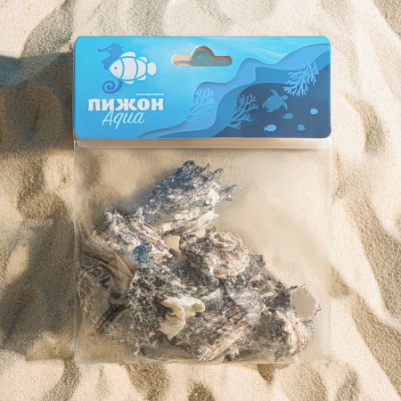 Набор ракушек с перламутром, 3 - 6 см, 100 г-2