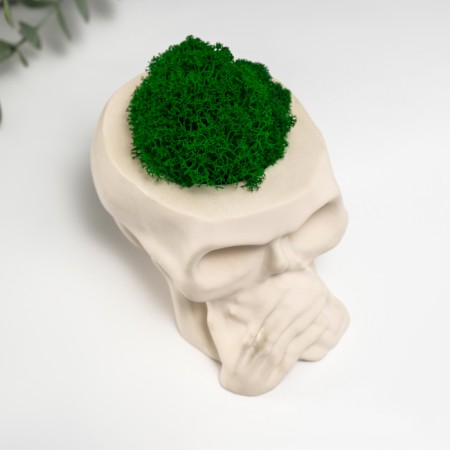 Kashpo concrete "Skull Silence" with moss 6.5x10 cm white (moss green stabilized)-4