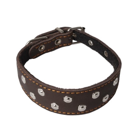 Leather collar for left-handed/dachshunds, on synthetic winterizer, decorated, Osh 32-41 x 2/3.3 cm, mix