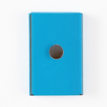 Magnet "Novosibirsk"-4