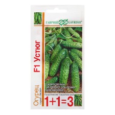 Seeds of cucumber 