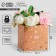 Gift box for flowers with PVC lid, packaging, "good day", 12 x 12 x 12 cm