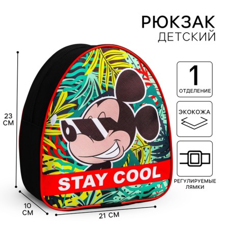 Baby backpack, 23x21x10 cm, Mickey Mouse