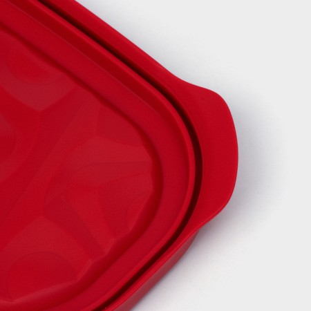 The container is plastic with the lid Flexo, 0.65 l, the color is red-6