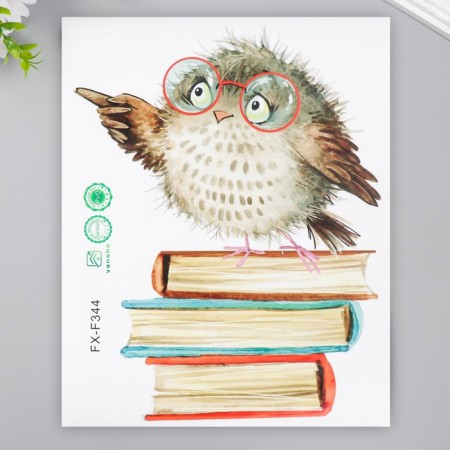 Sticker Plastic Interior Color "Baby Owl on Books" 23x29 cm-1