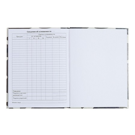 Universal diary for grades 1-11, "plane", solid cover 7BC, glossy lamination, 40 sheets-9