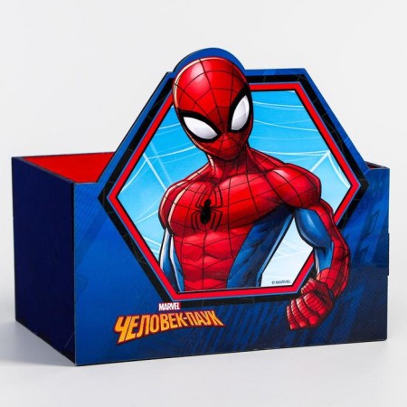 Organizer for the office, 15x10x8 cm, Spider-Man-3
