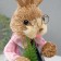 Souvenir "Scientific Land with carrots" 10x12.5x34.5 cm