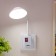 Sconces in the socket "Zion" LED 2W white 10x6x26.5 cm