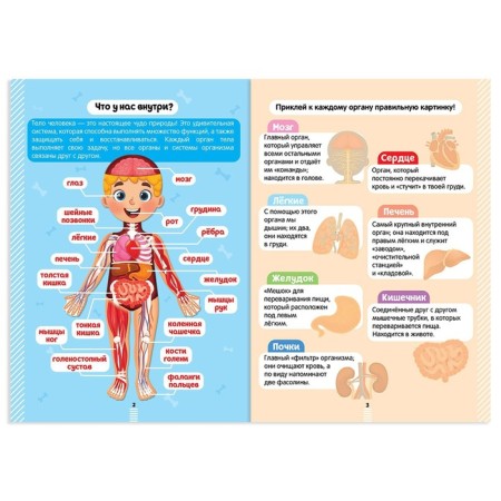 Stickers "Secrets of the Human Body", 16 p.-1