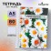 Notebook A5, 80 sheets in a cage on the crest of Calligrata "Chamomile", cover 7BC, OFSET BOCom