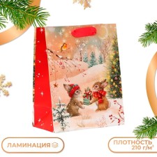 Gift Package 