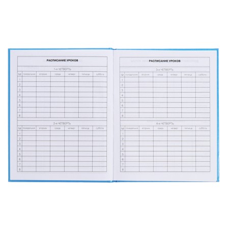 Diary for grades 5-11, 48 sheets "Inspiration!", Firm cover, glossy lamination, block 60 g/m2-6